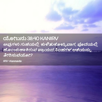 Picture 02 - ಯೋಬನು 38:40 KANIRV - ಅವುಗಳು ಗುಹೆಯಲ್ಲಿ - Bible Verse Picture