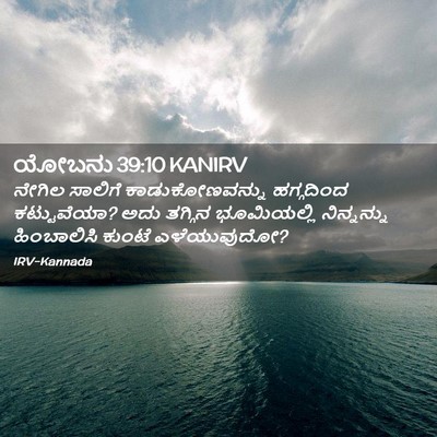 Picture 02 - ಯೋಬನು 39:10 KANIRV - ನೇಗಿಲ ಸಾಲಿಗೆ - Bible Verse Picture
