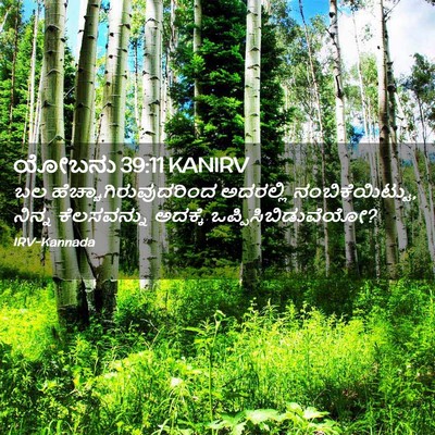 Picture 02 - ಯೋಬನು 39:11 KANIRV - ಬಲ - Bible Verse Picture