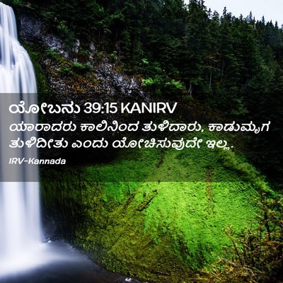 Picture 02 - ಯೋಬನು 39:15 KANIRV - ಯಾರಾದರು ಕಾಲಿನಿಂದ - Bible Verse Picture