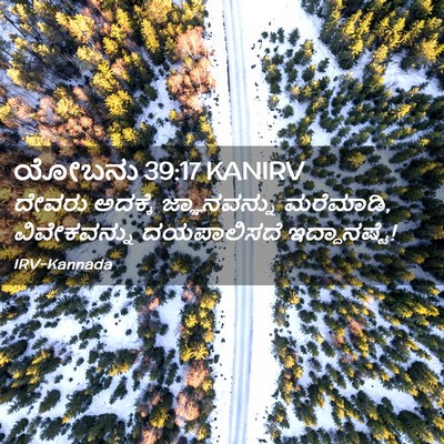 Picture 02 - ಯೋಬನು 39:17 KANIRV - ದೇವರು ಅದಕ್ಕೆ - Bible Verse Picture