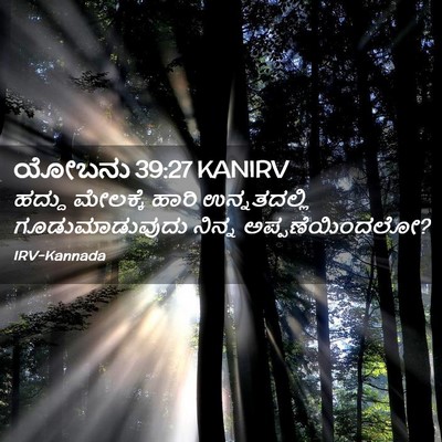 Picture 02 - ಯೋಬನು 39:27 KANIRV - ಹದ್ದು ಮೇಲಕ್ಕೆ - Bible Verse Picture