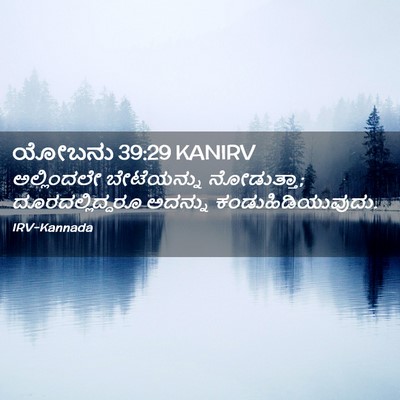 Picture 02 - ಯೋಬನು 39:29 KANIRV - ಅಲ್ಲಿಂದಲೇ - Bible Verse Picture