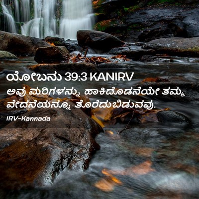 Picture 02 - ಯೋಬನು 39:3 KANIRV - ಅವು ಮರಿಗಳನ್ನು - Bible Verse Picture