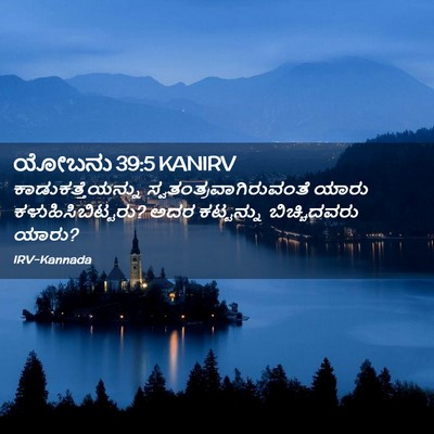 Picture 02 - ಯೋಬನು 39:5 KANIRV - ಕಾಡುಕತ್ತೆಯನ್ನು - Bible Verse Picture