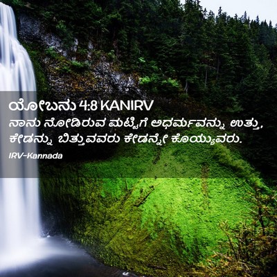 Picture 02 - ಯೋಬನು 4:8 KANIRV - ನಾನು ನೋಡಿರುವ - Bible Verse Picture