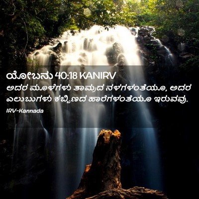Picture 02 - ಯೋಬನು 40:18 KANIRV - ಅದರ ಮೂಳೆಗಳು - Bible Verse Picture