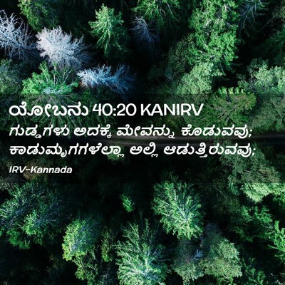 Picture 02 - ಯೋಬನು 40:20 KANIRV - ಗುಡ್ಡಗಳು ಅದಕ್ಕೆ - Bible Verse Picture