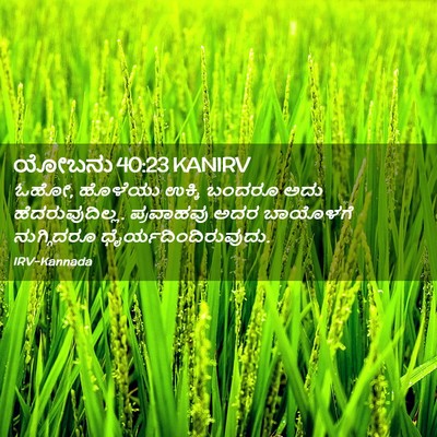 Picture 02 - ಯೋಬನು 40:23 KANIRV - ಓಹೋ, ಹೊಳೆಯು ಉಕ್ಕಿ - Bible Verse Picture