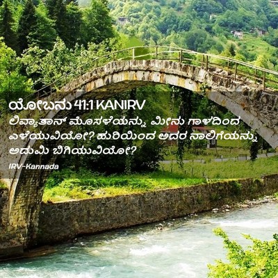 Picture 02 - ಯೋಬನು 41:1 KANIRV - ಲಿವ್ಯಾತಾನ್ - Bible Verse Picture