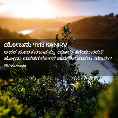 Picture 02 - ಯೋಬನು 41:13 KANIRV - ಅದರ ಹೊರಕವಚವನ್ನು - Bible Verse Picture