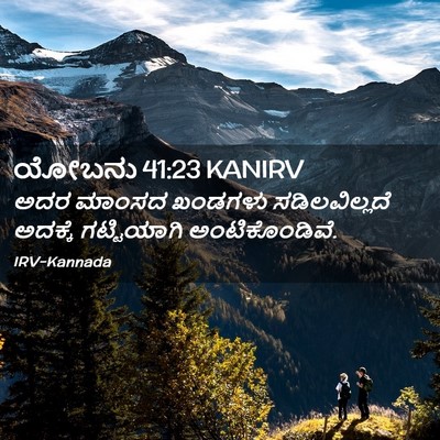 Picture 02 - ಯೋಬನು 41:23 KANIRV - ಅದರ ಮಾಂಸದ ಖಂಡಗಳು - Bible Verse Picture