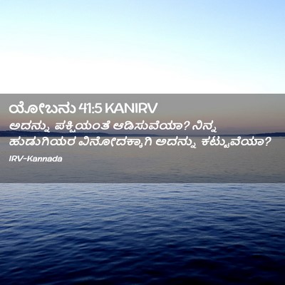 Picture 02 - ಯೋಬನು 41:5 KANIRV - ಅದನ್ನು ಪಕ್ಷಿಯಂತೆ - Bible Verse Picture