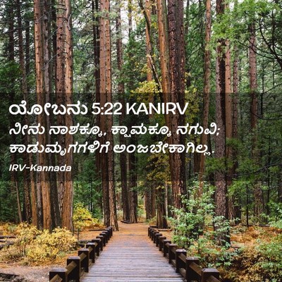 Picture 02 - ಯೋಬನು 5:22 KANIRV - ನೀನು ನಾಶಕ್ಕೂ, - Bible Verse Picture