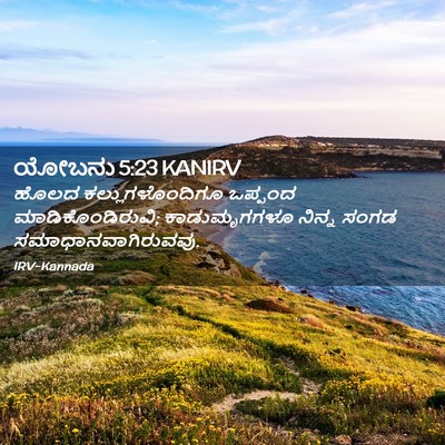 Picture 02 - ಯೋಬನು 5:23 KANIRV - ಹೊಲದ - Bible Verse Picture