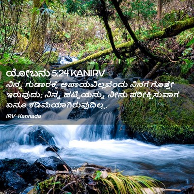 Picture 02 - ಯೋಬನು 5:24 KANIRV - ನಿನ್ನ ಗುಡಾರಕ್ಕೆ - Bible Verse Picture