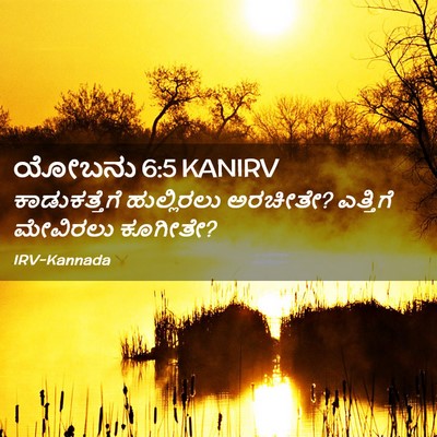 Picture 02 - ಯೋಬನು 6:5 KANIRV - ಕಾಡುಕತ್ತೆಗೆ - Bible Verse Picture