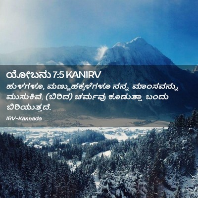 Picture 02 - ಯೋಬನು 7:5 KANIRV - ಹುಳಗಳೂ, - Bible Verse Picture