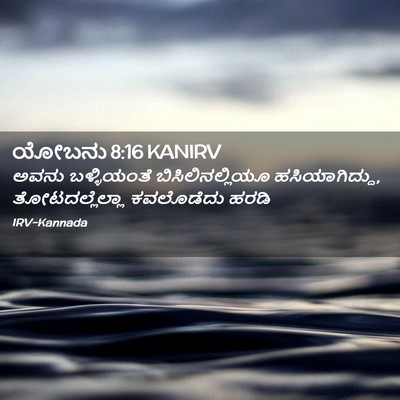 Picture 02 - ಯೋಬನು 8:16 KANIRV - ಅವನು ಬಳ್ಳಿಯಂತೆ - Bible Verse Picture
