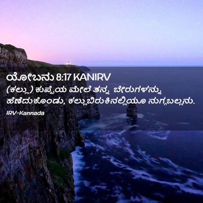 Picture 02 - ಯೋಬನು 8:17 KANIRV - (ಕಲ್ಲು) ಕುಪ್ಪೆಯ - Bible Verse Picture