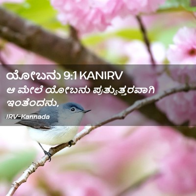 Picture 02 - ಯೋಬನು 9:1 KANIRV - ಆ ಮೇಲೆ ಯೋಬನು - Bible Verse Picture