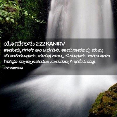 Picture 02 - ಯೋವೇಲನು 2:22 KANIRV - ಕಾಡುಮೃಗಗಳೇ - Bible Verse Picture