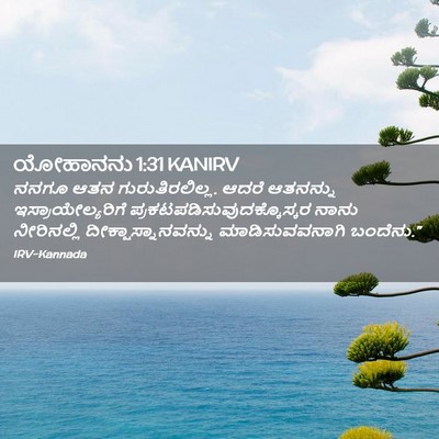 Picture 02 - ಯೋಹಾನನು 1:31 KANIRV - ನನಗೂ ಆತನ - Bible Verse Picture