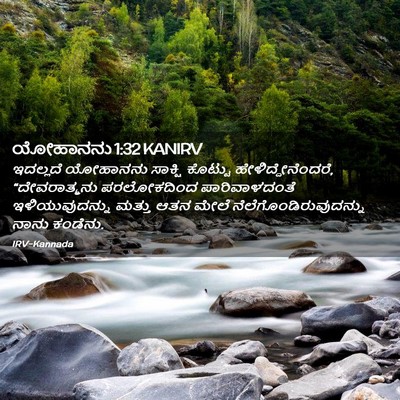 Picture 02 - ಯೋಹಾನನು 1:32 KANIRV - ಇದಲ್ಲದೆ ಯೋಹಾನನು - Bible Verse Picture