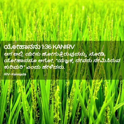 Picture 02 - ಯೋಹಾನನು 1:36 KANIRV - ಆಗ ಅಲ್ಲಿ ಯೇಸು - Bible Verse Picture