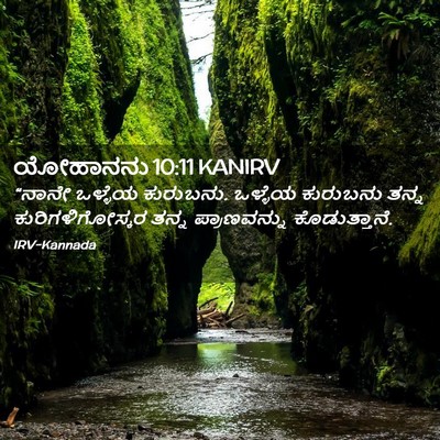 Picture 02 - ಯೋಹಾನನು 10:11 KANIRV - “ನಾನೇ ಒಳ್ಳೆಯ - Bible Verse Picture