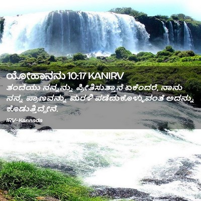 Picture 02 - ಯೋಹಾನನು 10:17 KANIRV - ತಂದೆಯು ನನ್ನನ್ನು - Bible Verse Picture