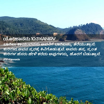 Picture 02 - ಯೋಹಾನನು 10:3 KANIRV - ಬಾಗಿಲು ಕಾಯುವವನು - Bible Verse Picture