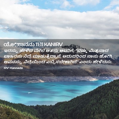 Picture 02 - ಯೋಹಾನನು 11:11 KANIRV - ಇದನ್ನು ಹೇಳಿದ ಮೇಲೆ - Bible Verse Picture