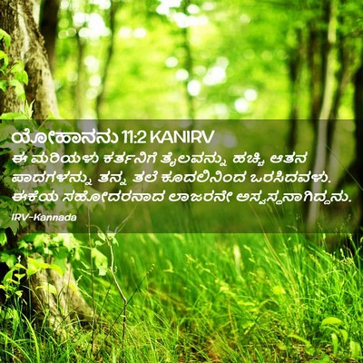 Picture 02 - ಯೋಹಾನನು 11:2 KANIRV - ಈ ಮರಿಯಳು ಕರ್ತನಿಗೆ - Bible Verse Picture