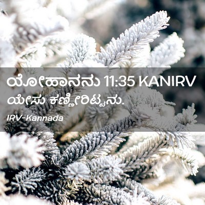 Picture 02 - ಯೋಹಾನನು 11:35 KANIRV - ಯೇಸು - Bible Verse Picture