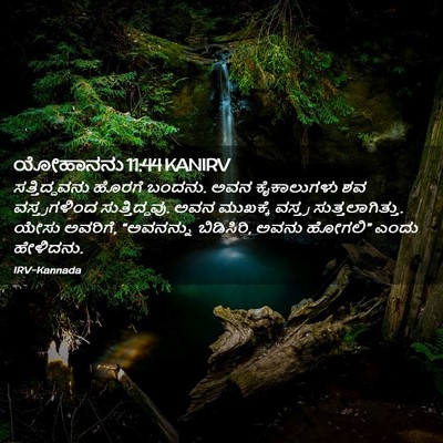 Picture 02 - ಯೋಹಾನನು 11:44 KANIRV - ಸತ್ತಿದ್ದವನು ಹೊರಗೆ - Bible Verse Picture