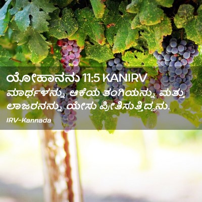 Picture 02 - ಯೋಹಾನನು 11:5 KANIRV - ಮಾರ್ಥಳನ್ನು ಆಕೆಯ - Bible Verse Picture