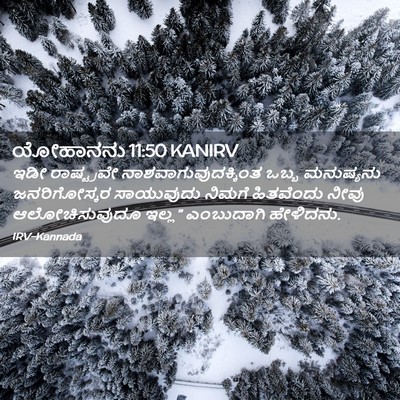 Picture 02 - ಯೋಹಾನನು 11:50 KANIRV - ಇಡೀ ರಾಷ್ಟ್ರವೇ - Bible Verse Picture