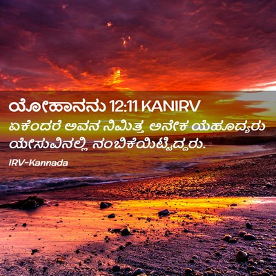 Picture 02 - ಯೋಹಾನನು 12:11 KANIRV - ಏಕೆಂದರೆ ಅವನ - Bible Verse Picture
