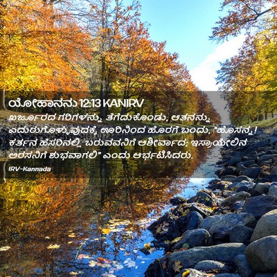 Picture 02 - ಯೋಹಾನನು 12:13 KANIRV - ಖರ್ಜೂರದ ಗರಿಗಳನ್ನು - Bible Verse Picture
