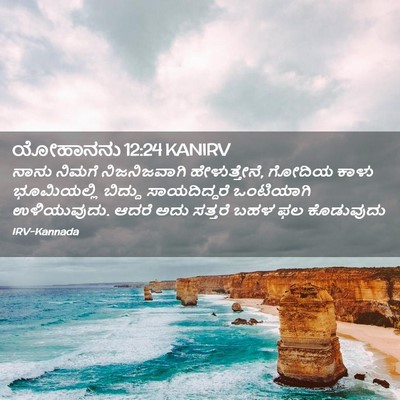 Picture 02 - ಯೋಹಾನನು 12:24 KANIRV - ನಾನು ನಿಮಗೆ - Bible Verse Picture