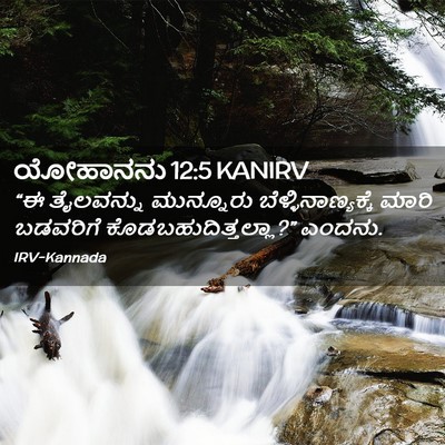 Picture 02 - ಯೋಹಾನನು 12:5 KANIRV - “ಈ ತೈಲವನ್ನು - Bible Verse Picture