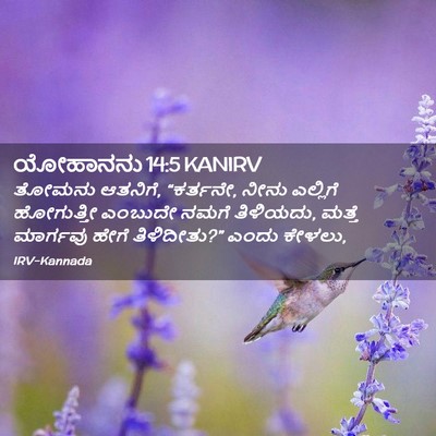Picture 02 - ಯೋಹಾನನು 14:5 KANIRV - ತೋಮನು ಆತನಿಗೆ, - Bible Verse Picture