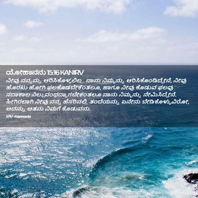 Picture 02 - ಯೋಹಾನನು 15:16 KANIRV - ನೀವು ನನ್ನನ್ನು - Bible Verse Picture