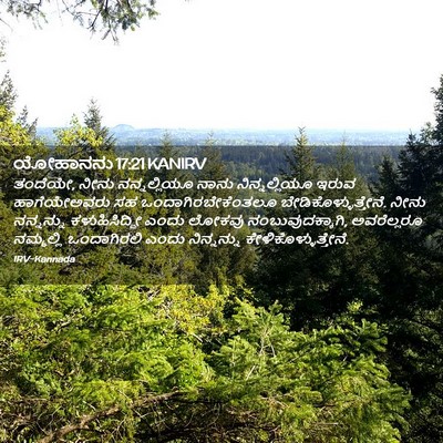 Picture 02 - ಯೋಹಾನನು 17:21 KANIRV - ತಂದೆಯೇ, ನೀನು - Bible Verse Picture