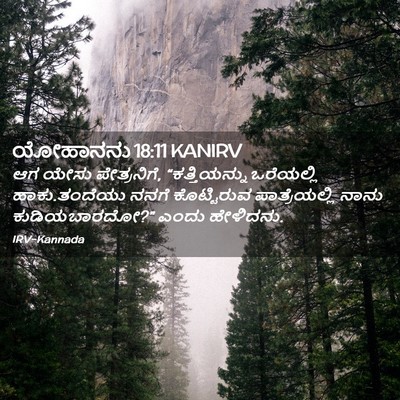 Picture 02 - ಯೋಹಾನನು 18:11 KANIRV - ಆಗ ಯೇಸು ಪೇತ್ರನಿಗೆ, - Bible Verse Picture