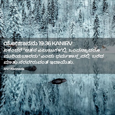 Picture 02 - ಯೋಹಾನನು 19:36 KANIRV - ಏಕೆಂದರೆ “ಆತನ - Bible Verse Picture