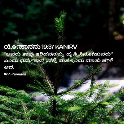 Picture 02 - ಯೋಹಾನನು 19:37 KANIRV - “ಅವರು ತಾವು - Bible Verse Picture