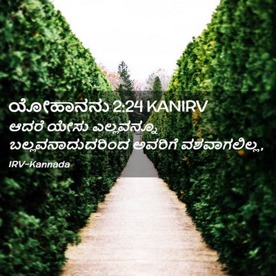 Picture 02 - ಯೋಹಾನನು 2:24 KANIRV - ಆದರೆ ಯೇಸು - Bible Verse Picture