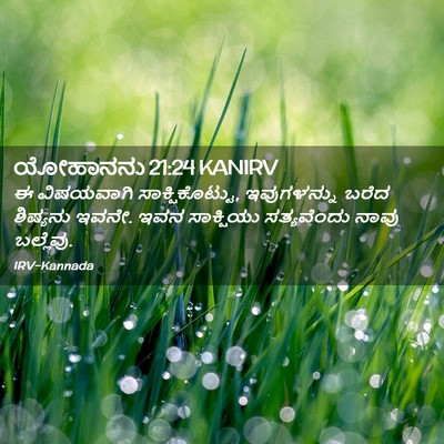 Picture 02 - ಯೋಹಾನನು 21:24 KANIRV - ಈ ವಿಷಯವಾಗಿ - Bible Verse Picture